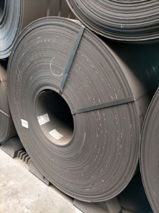 Immagine di 2006500829